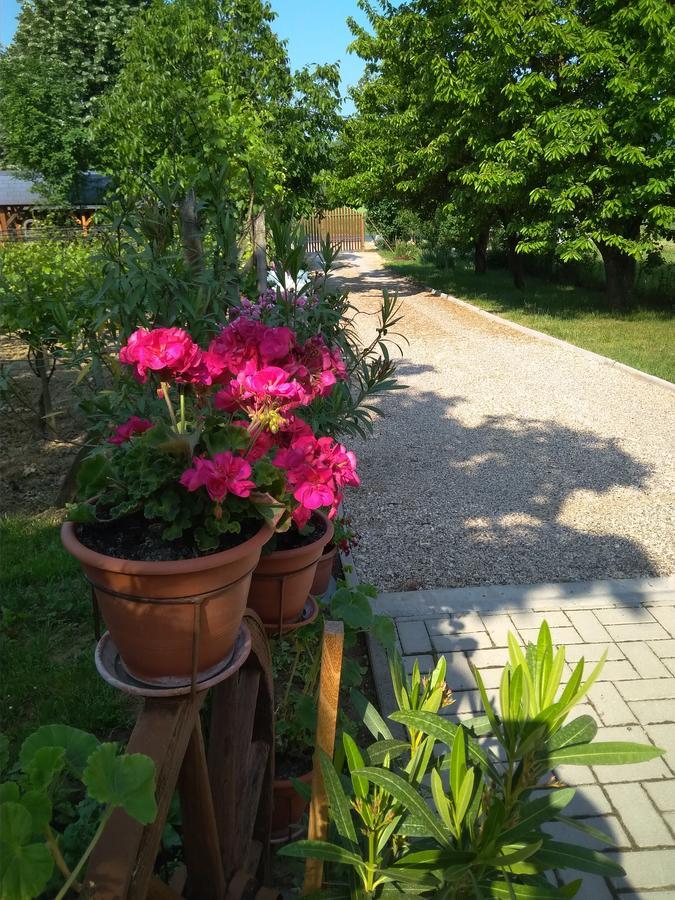 Szoloskert Apartman Cserszegtomaj Exterior foto